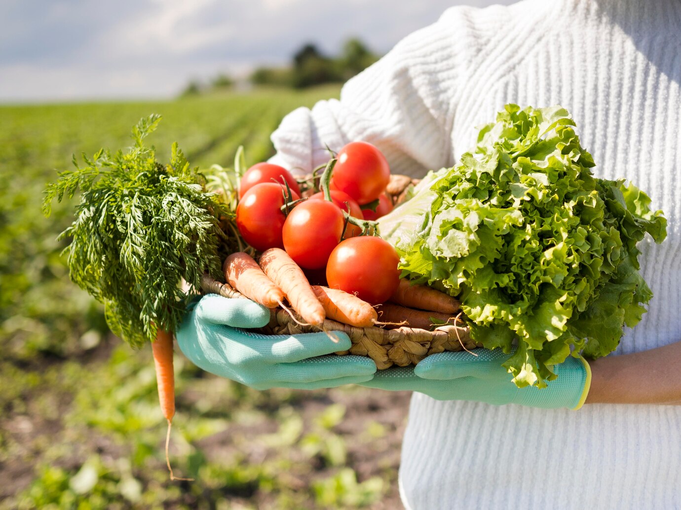 Meadow Crest Farms
